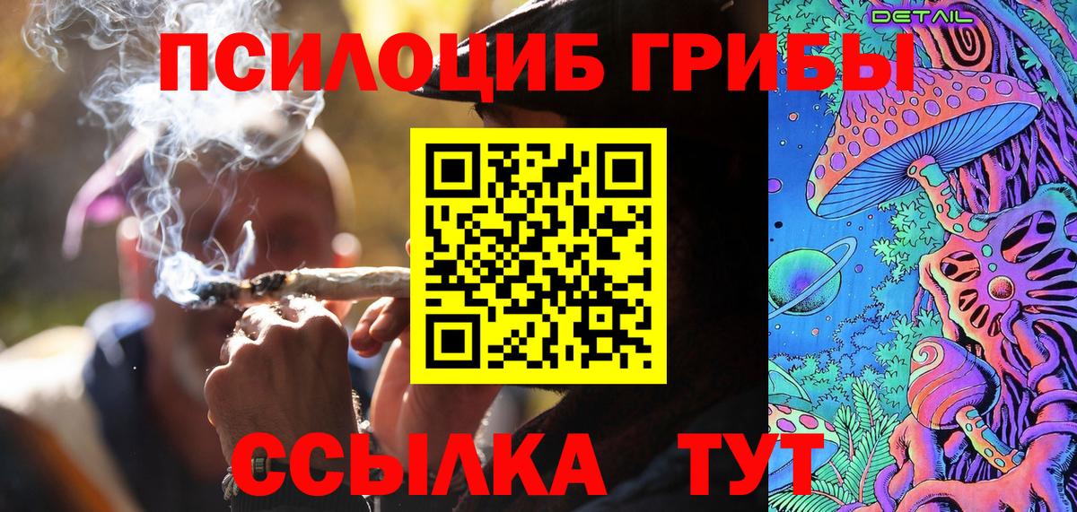 Галлюциногенные грибы Psilocybe Михайловка