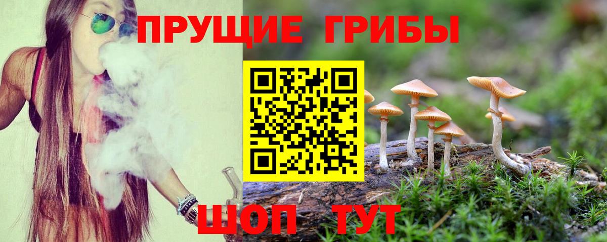сколько стоит  Вход с VPN  Псилоцибиновые грибы GOLDEN TEACHER  Михайловка  Галлюциногенные грибы мухоморы 